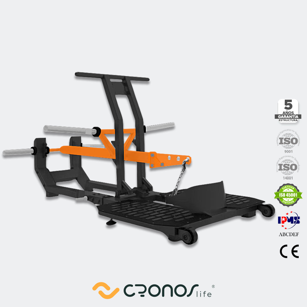 Belt Squat - Cronos Life