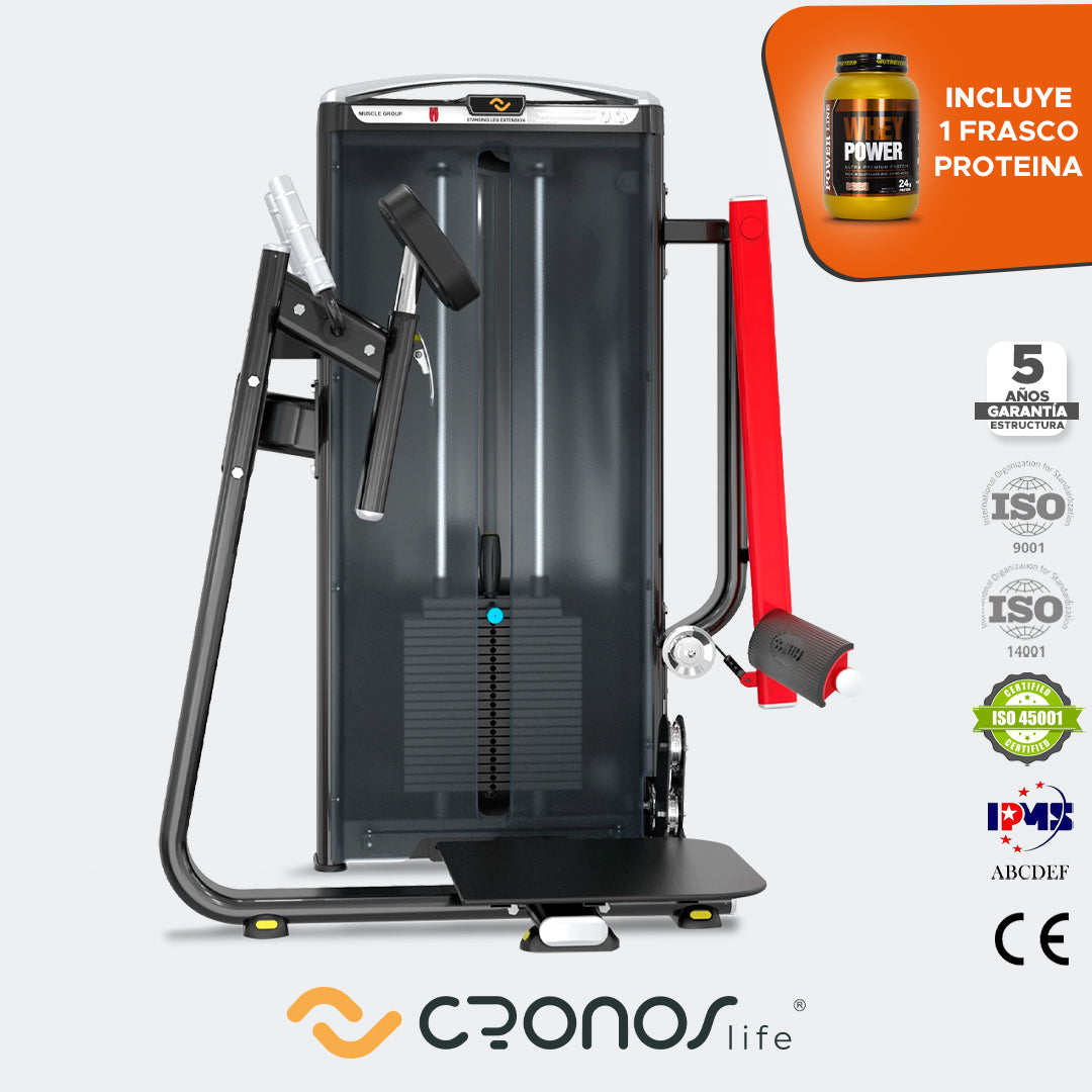 Patada Trasera - Cronos Life